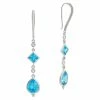 Wholesale ❤️ Judith Ripka Watercolors Silver CZ Drop Earrings 👩 Women 💯 -Judith Ripka Sales 6030377935 RLLZ 1